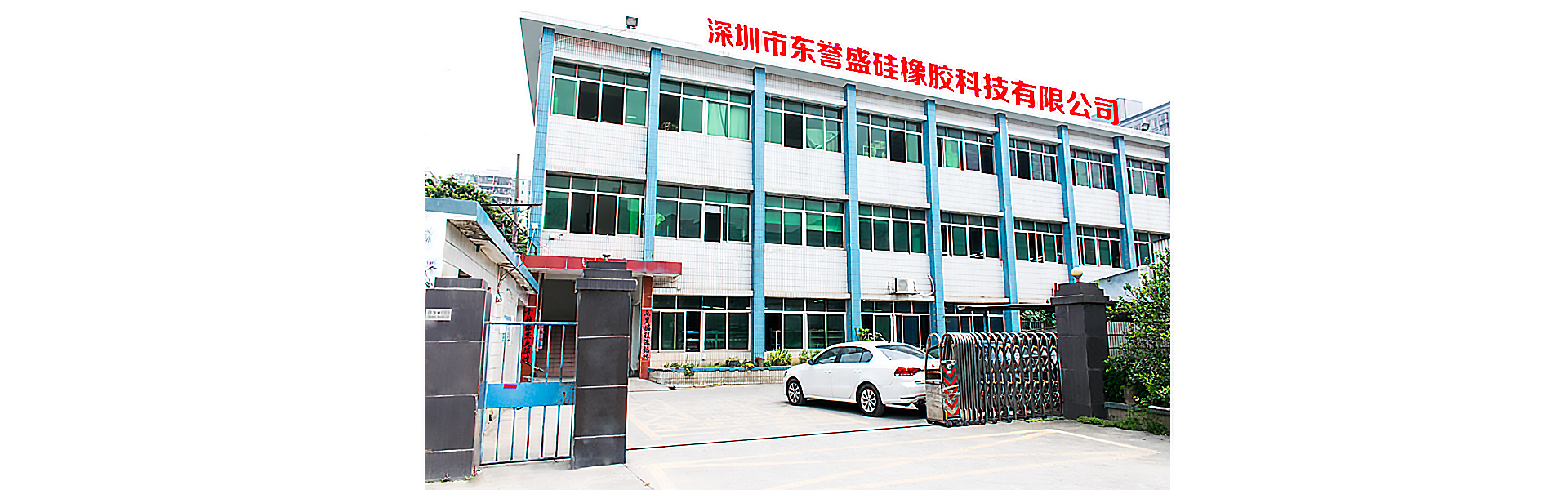 Shenzhen Dongyusheng Silicone&Rubber Technology Co., Ltd